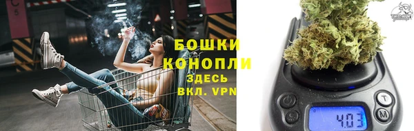 дживик Бородино
