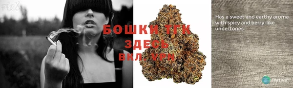 метамфетамин Белокуриха