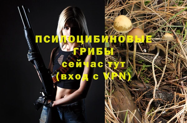 a pvp Беломорск