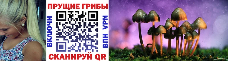 Псилоцибиновые грибы Magic Shrooms  Купить где  Котельнич 