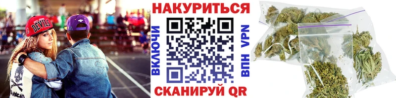Купить закладки  Котельнич  Каннабис индика 